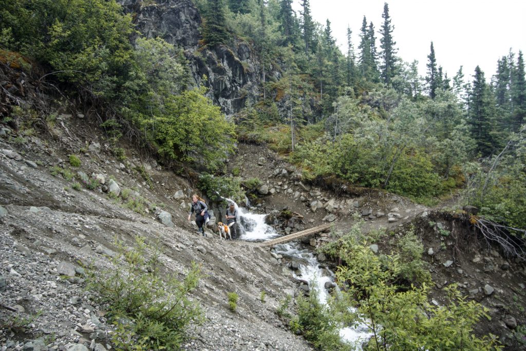 Hike Root Glacier Trail Alaska