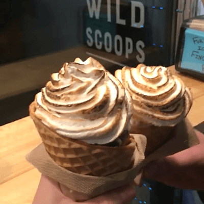 Wild Scoops Best Ice Cream Shops Near Anchorage