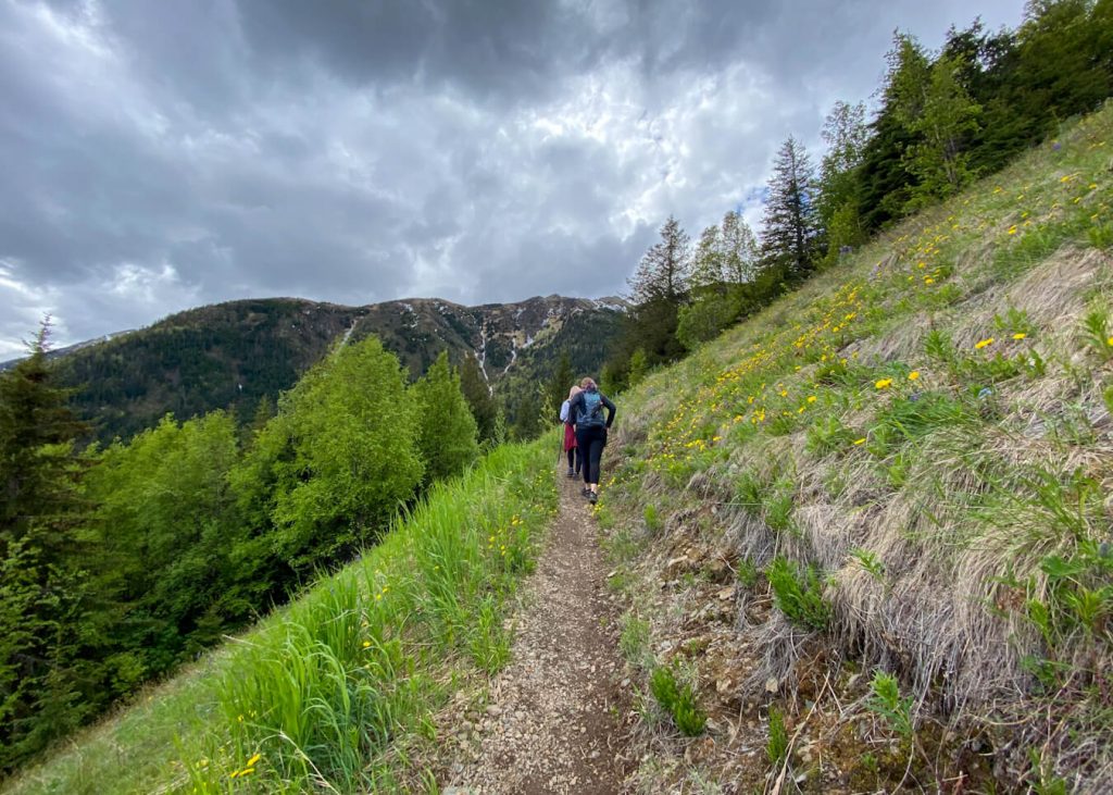 alaska hiking trail