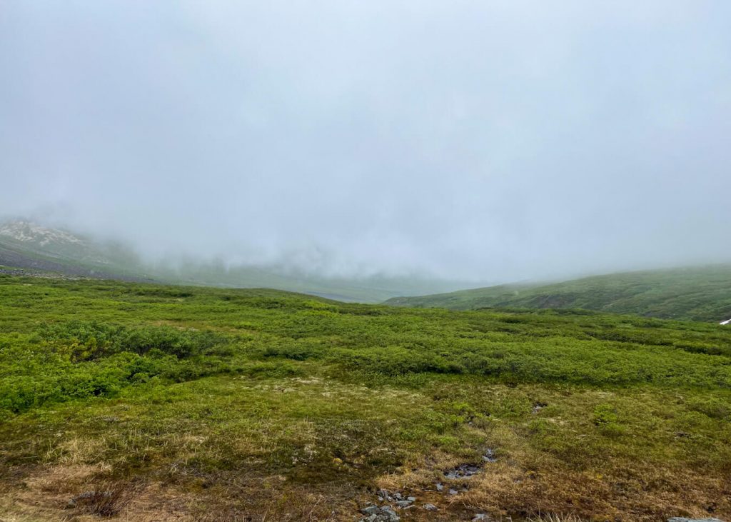 socked in valley backpacking trip