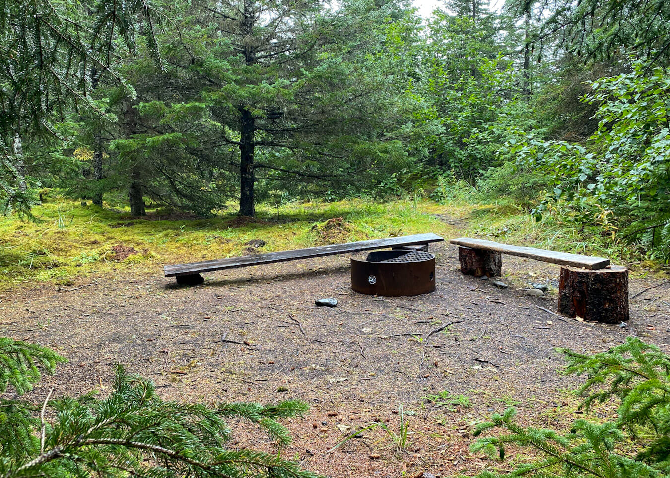 Kachemak Bay Right Beach Yurt Review Andrea Kuuipo Abroad