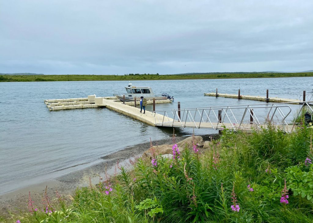 katmai water taxi king salmon