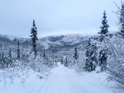Top 10 Things To Do In Fairbanks in Winter