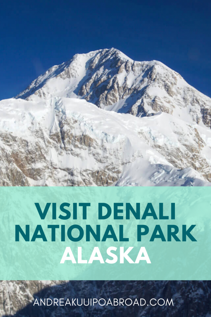 Planning to visit Denali National Park in Alaska? This in-depth guide will help you figure out what's closed this season. You'll also learn if it's best to visit the park in summer or winter, and plenty of ideas of things to do like photgraphy, top hike, best tours, and more! #alaskatravel #denali #denalinationalpark