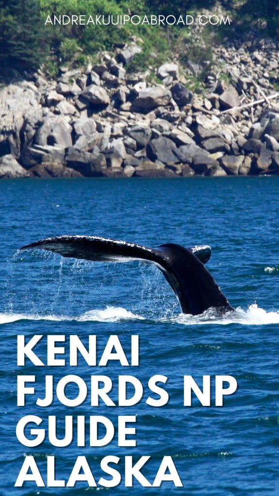 Travel to Alaska this year and make sure to stop in Kenai Fjords National Park outside of Seward. You can see lots of wildlife like orcas, humpback whales, black bears, puffins and more. Find out what to see and do and plan your summer itinerary. #alaska #kenaifjords #seward