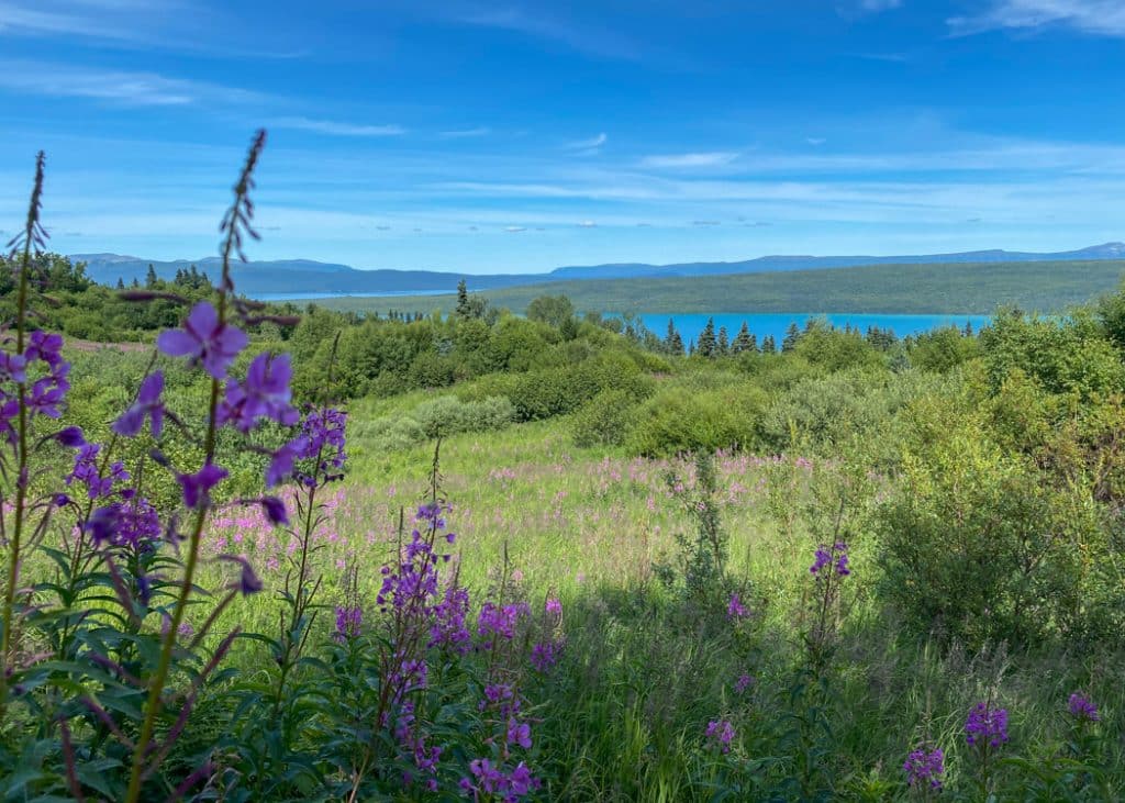 hiking in katmai national park