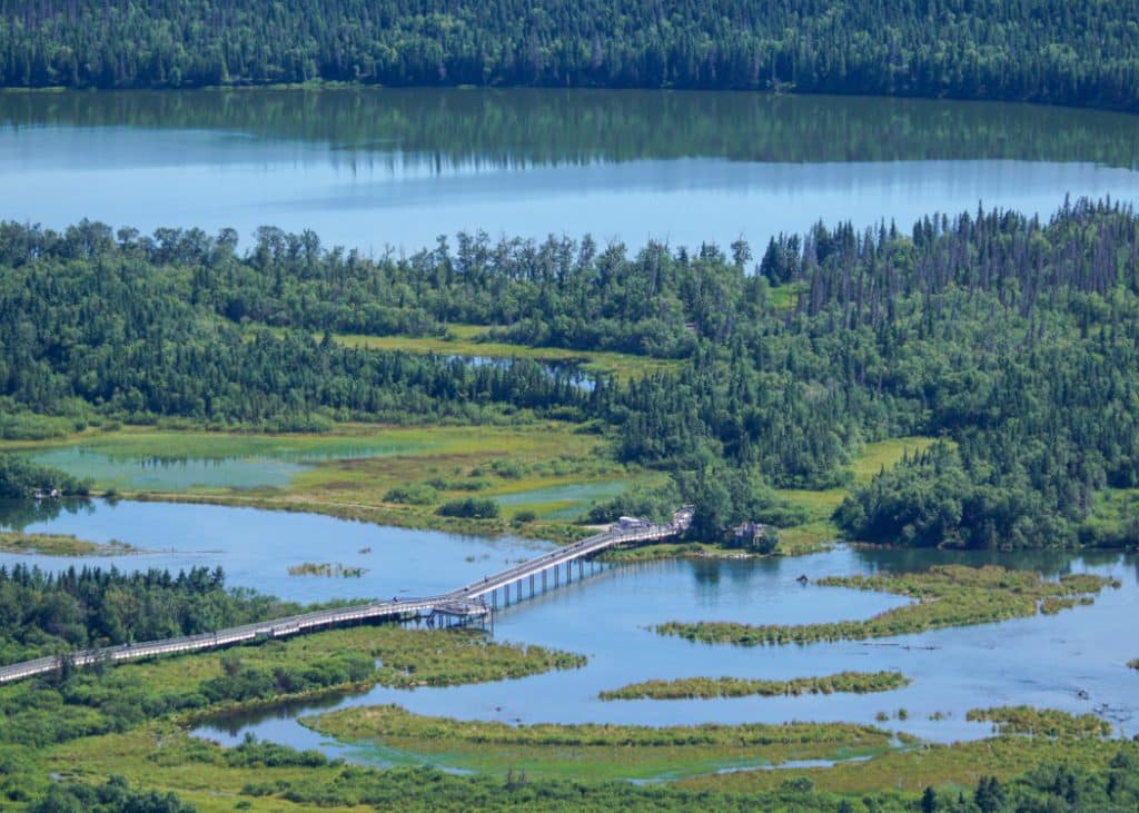 katmai national park visitors guide