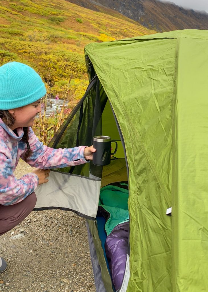 REI Backpacking Tent Review