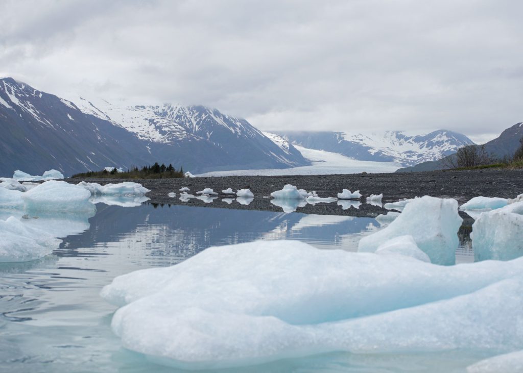 bear glacier seward alaska