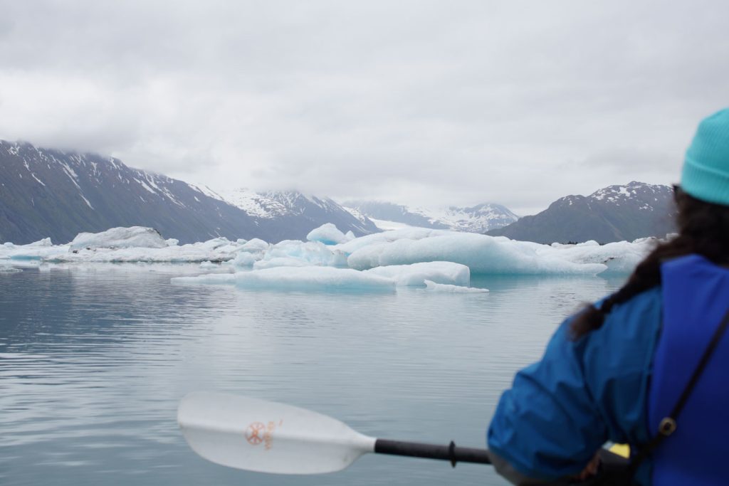 bear glacier lagoon kayaking